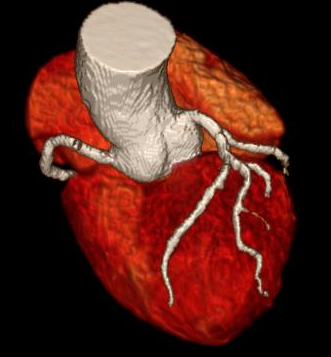 1606526450641077.png 0894c7d6294060e57b49ffda74980c3.png